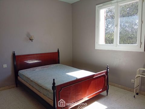 photo no. 12