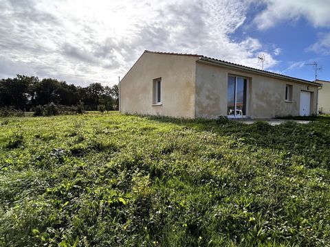 photo no. 5