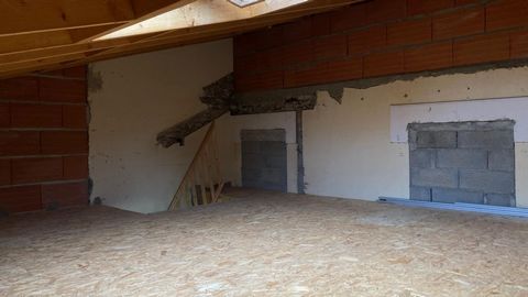 photo no. 15