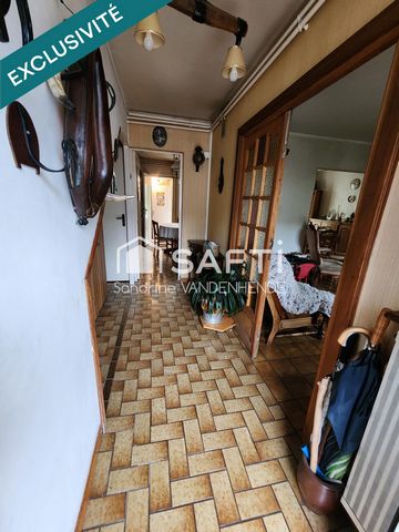 photo no. 6