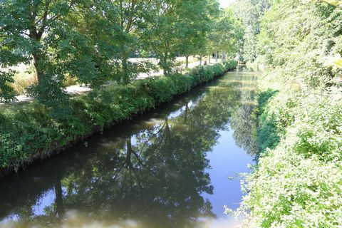 photo no. 12