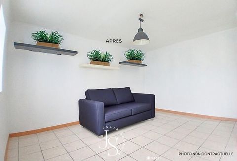 photo no. 8