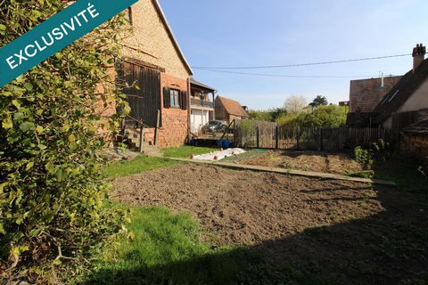photo no. 11