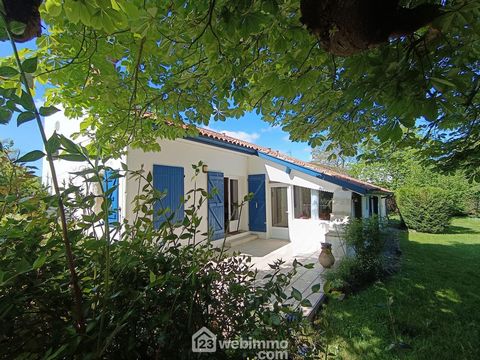 photo no. 14