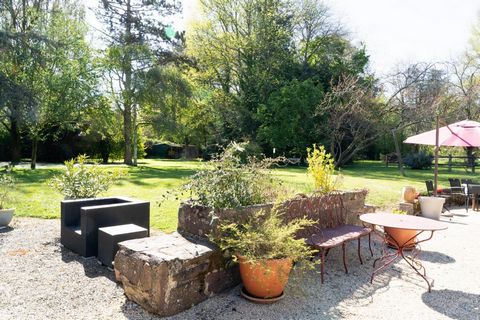 photo no. 11