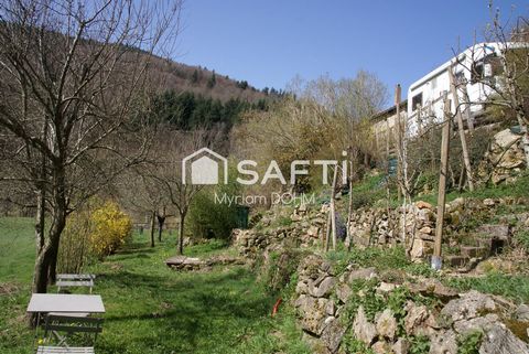 photo no. 9