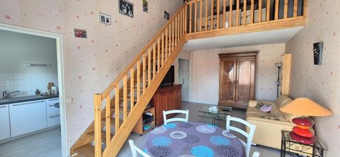 photo no. 13