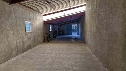 photo no. 11