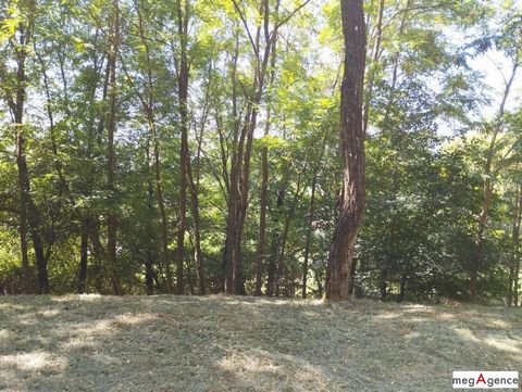 photo no. 4