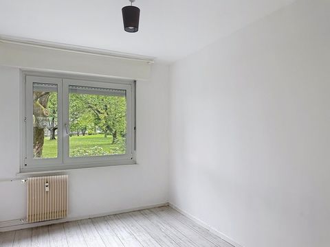 photo no. 1