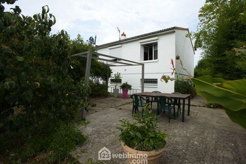 photo no. 8