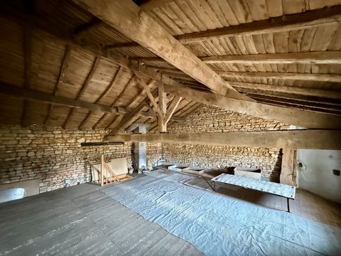 photo no. 9