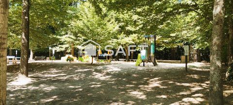 photo no. 13