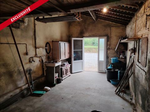 photo no. 13
