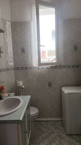 photo no. 6