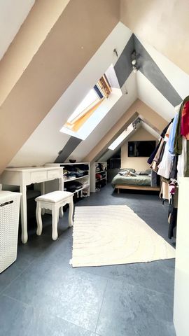 photo no. 11
