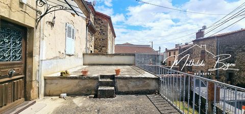 photo no. 11