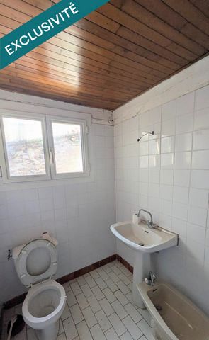 photo no. 6