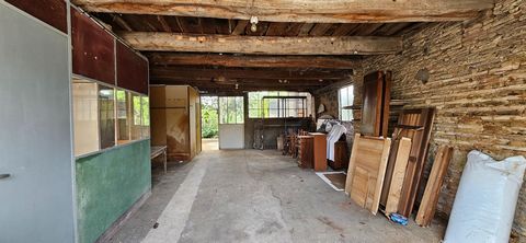 photo no. 15