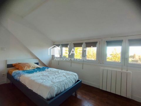 photo no. 6