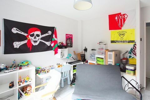 photo no. 8