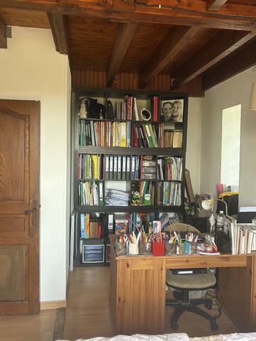 photo no. 13