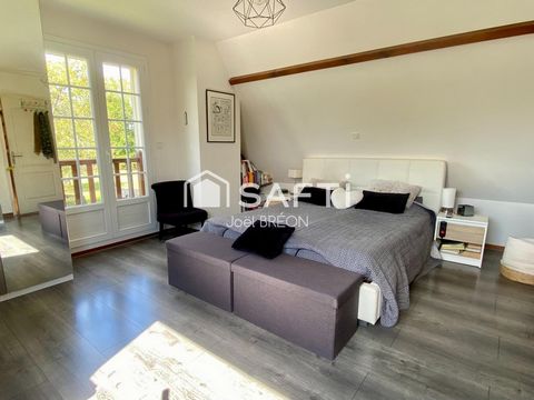 photo no. 12