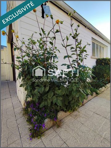 photo no. 11