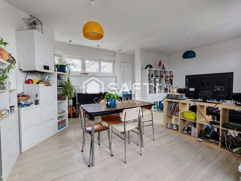 Appartement lumineux 1 chambre – Wazemmes (Lille)