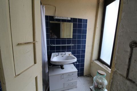 photo no. 6