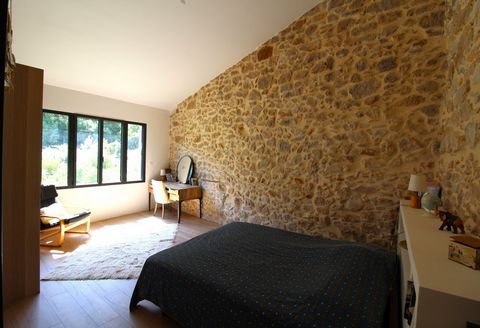 photo no. 7