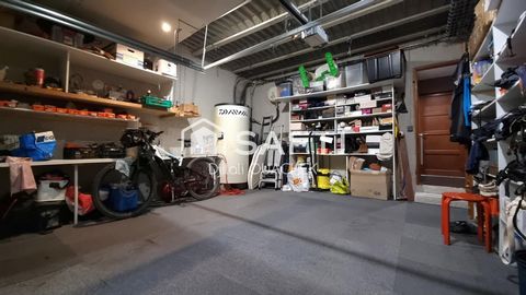 photo no. 12
