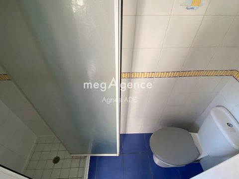 photo no. 7