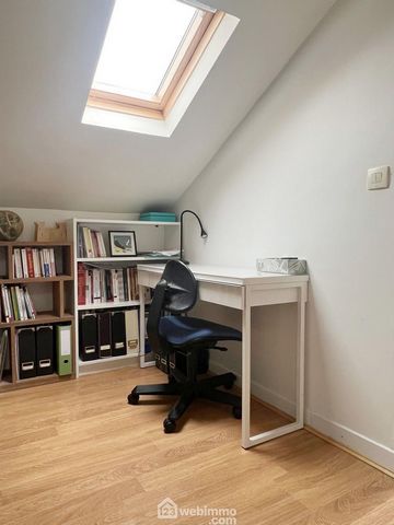 photo no. 16