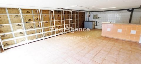 photo no. 13
