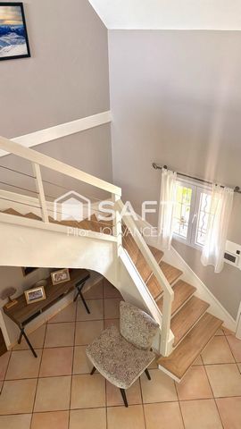 photo no. 15