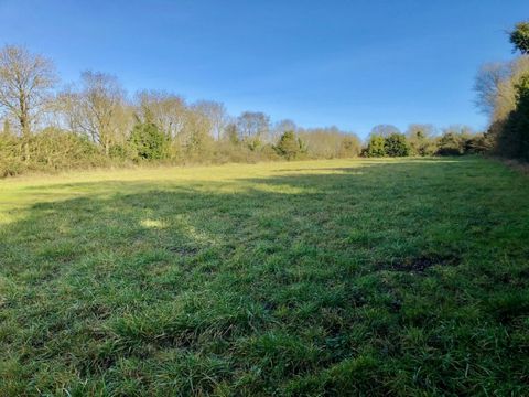 Nachamps - Terrain constructible 3725 m2