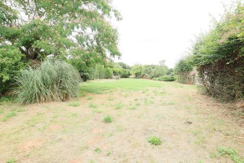 photo no. 7