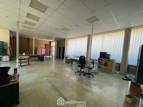 photo no. 5