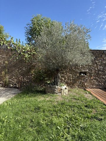 photo no. 16