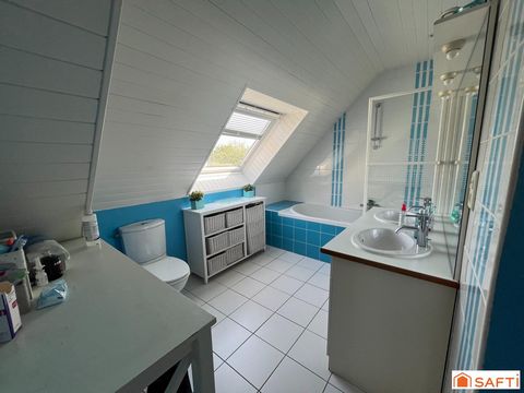 photo no. 13