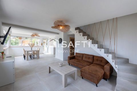 photo no. 12