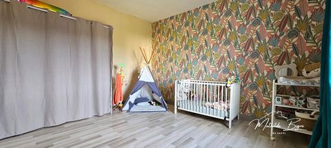 photo no. 12