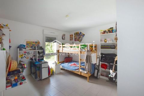photo no. 8