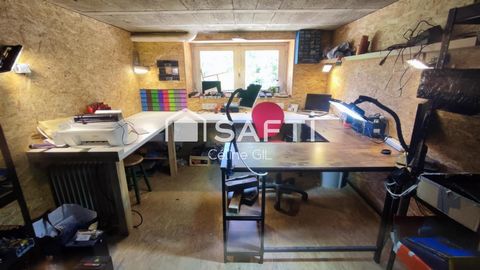 photo no. 11