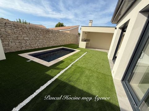 photo no. 11