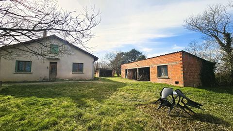 photo no. 16
