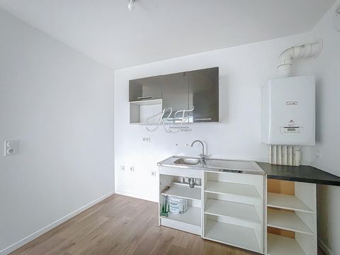 photo no. 6