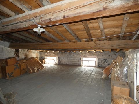 photo no. 13