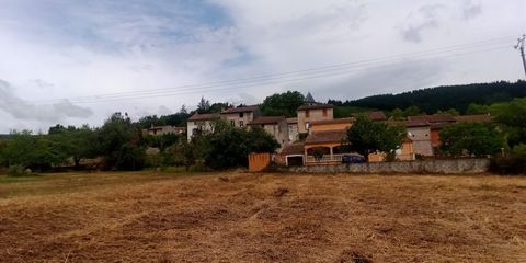 photo no. 6